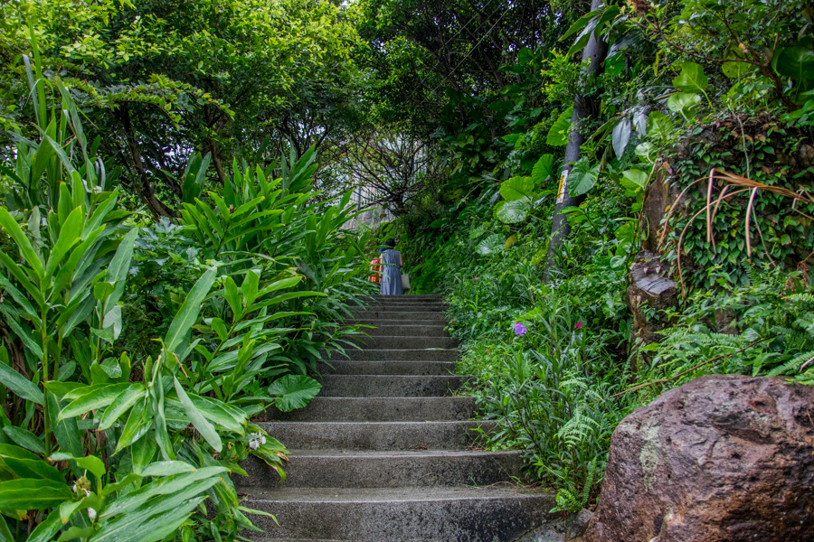 金瓜石｜作家賴舒亞私房散步 與《金色聚落-記金瓜石的榮枯》在緩慢．金瓜石度假 - LUCAS阿嬤愛旅行
