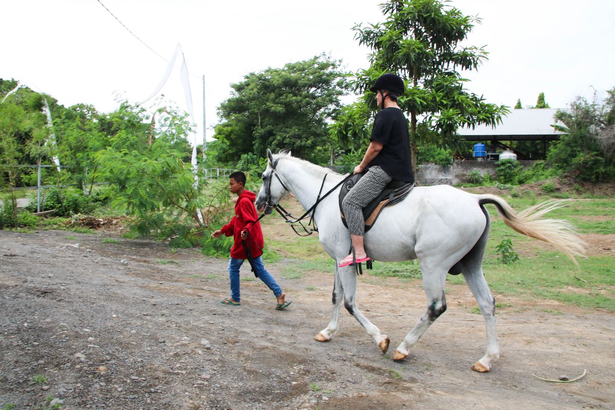 峇里島親子旅遊,Muara Adventure騎馬體驗 沙灘越野車 吉普車村遊（穆阿拉冒險） - LUCAS阿嬤愛旅行