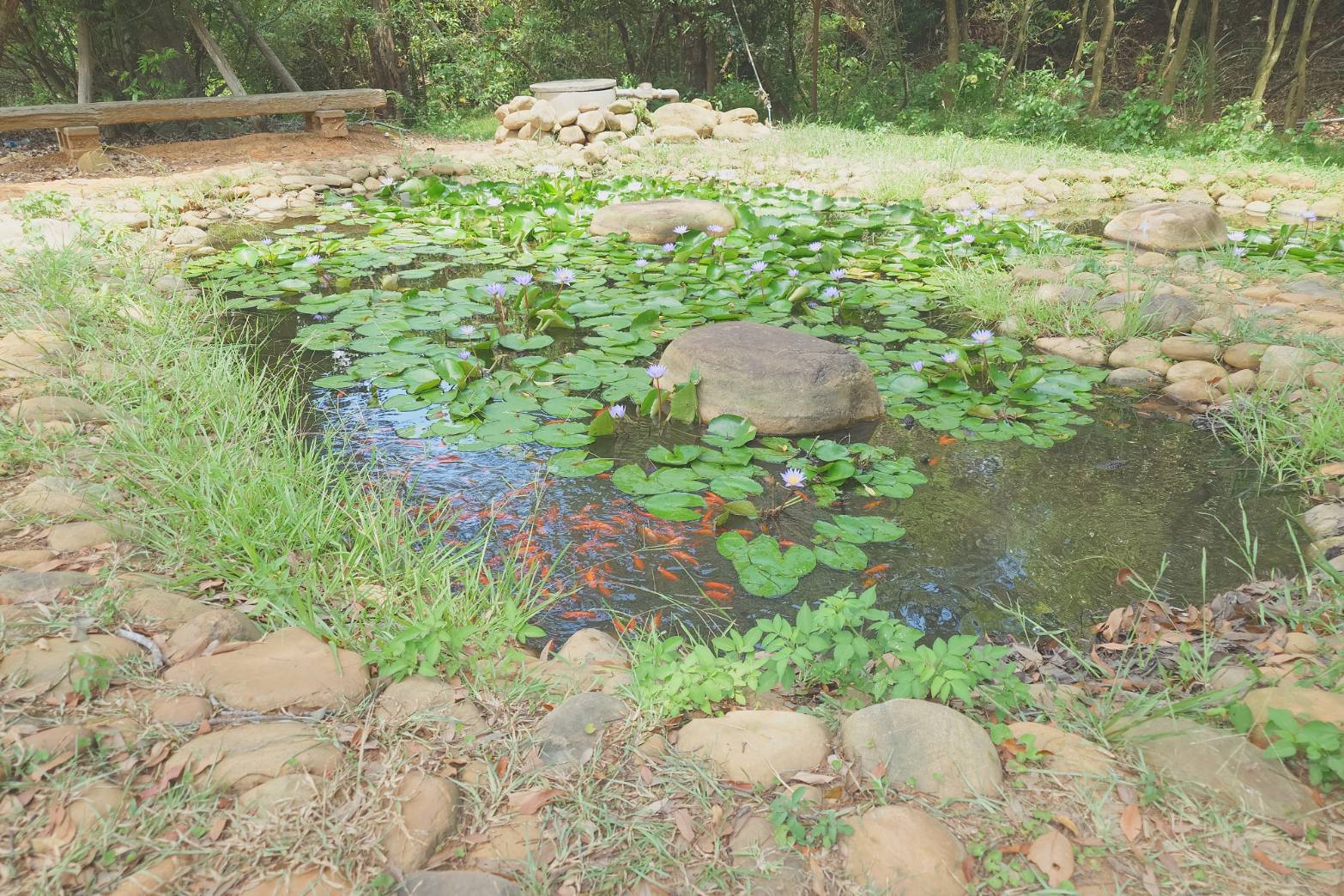 新竹新埔雲夢山丘｜隈研吾雲水觀.積木館名作,道法自然仙氣繚繞 - LUCAS阿嬤愛旅行