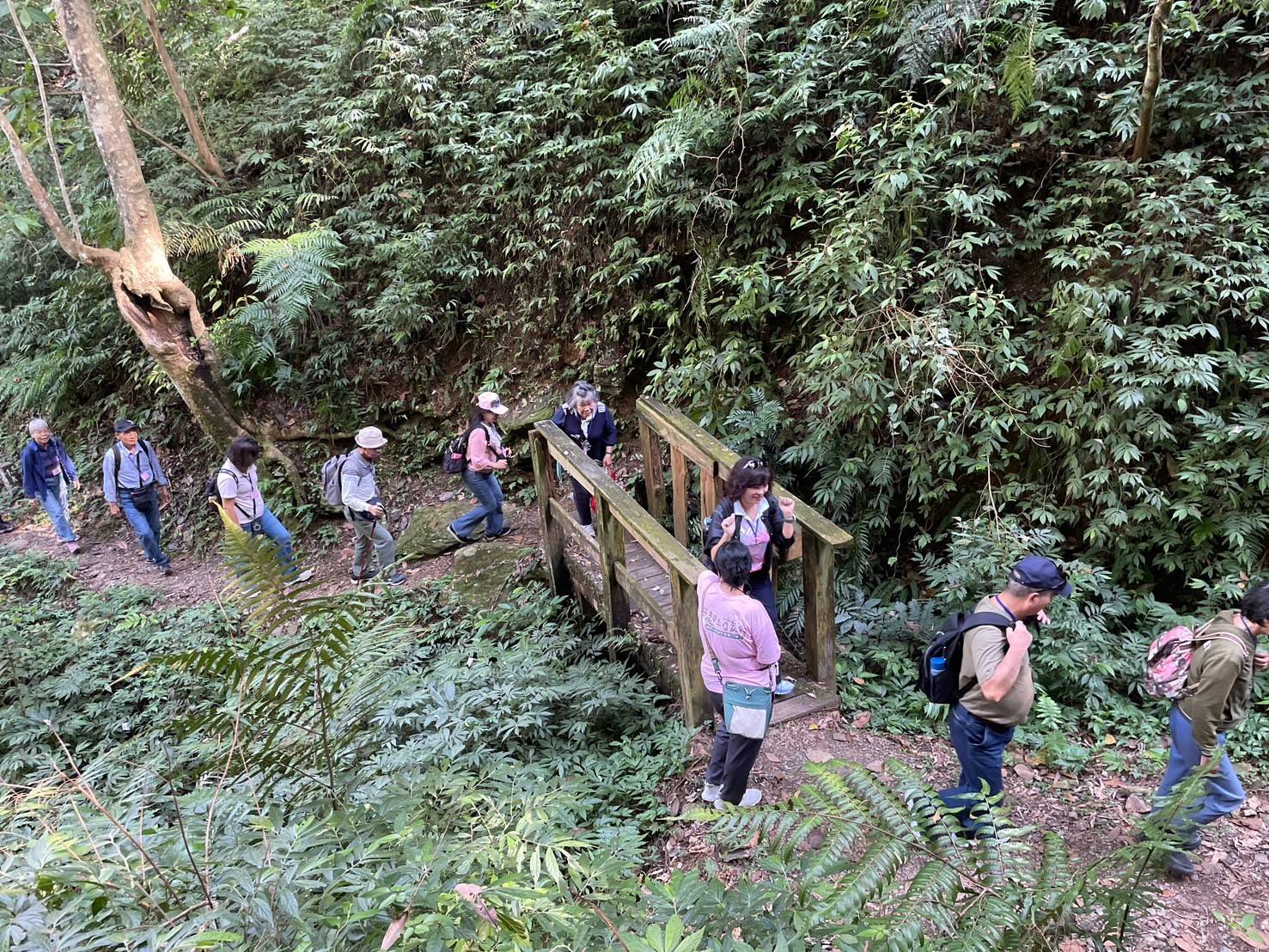 南投惠蓀林場｜台灣旅遊熱門景點一日遊,親子景點.團體旅遊,大口森呼吸 - LUCAS阿嬤愛旅行