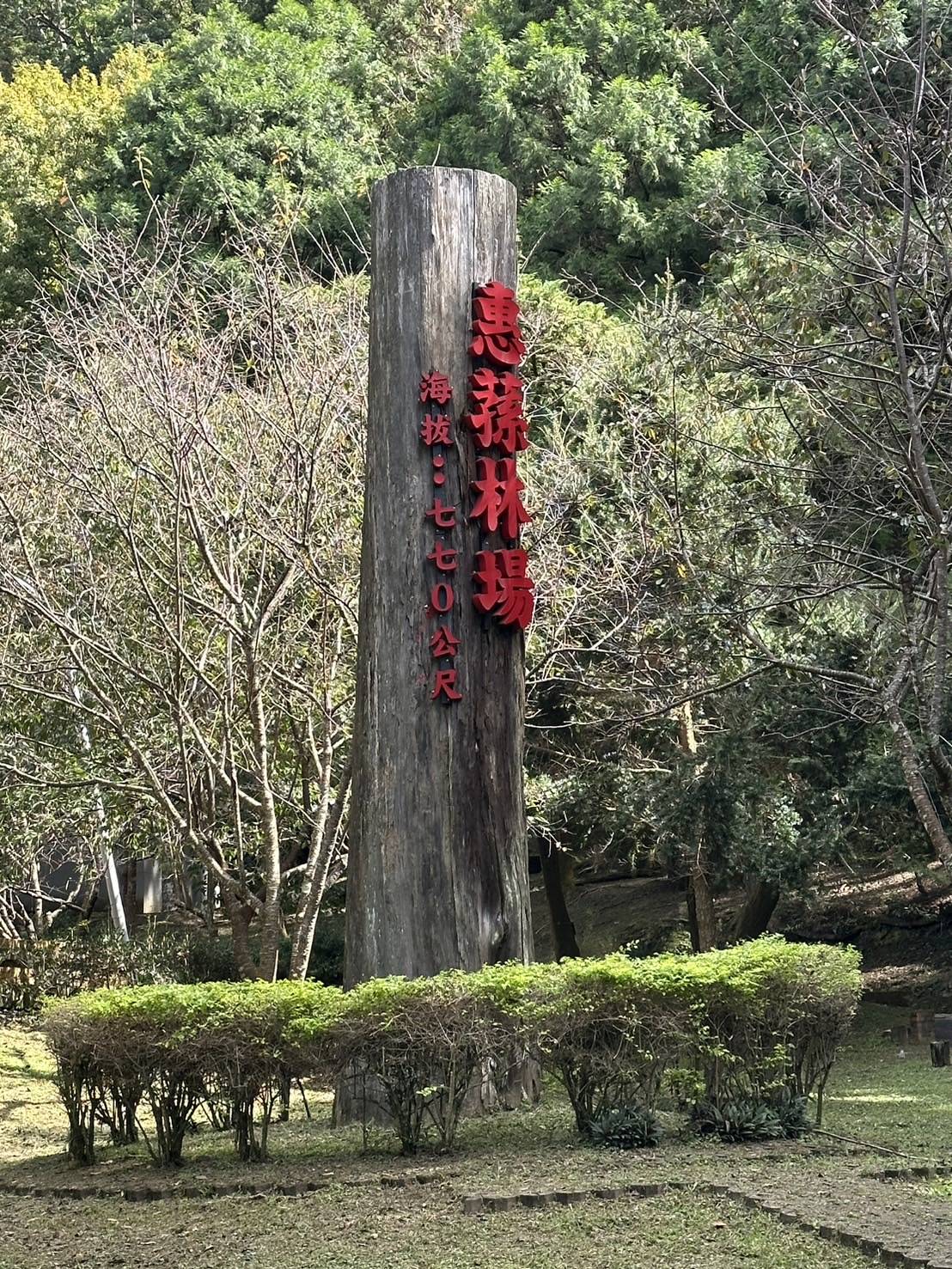 南投惠蓀林場｜台灣旅遊熱門景點一日遊,親子景點.團體旅遊,大口森呼吸 - LUCAS阿嬤愛旅行