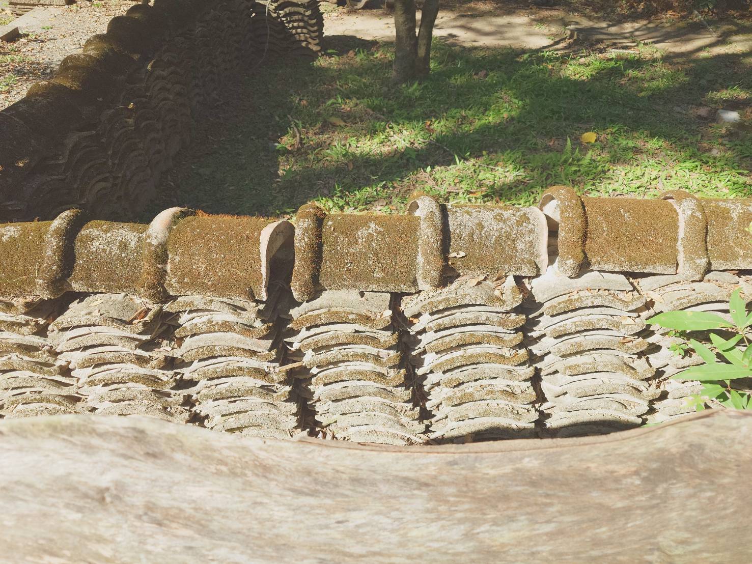 阿嬤讀空大 江戶城裡的異鄉人,刻劃幕末女人心 閱讀心得96分 - LUCAS阿嬤愛旅行