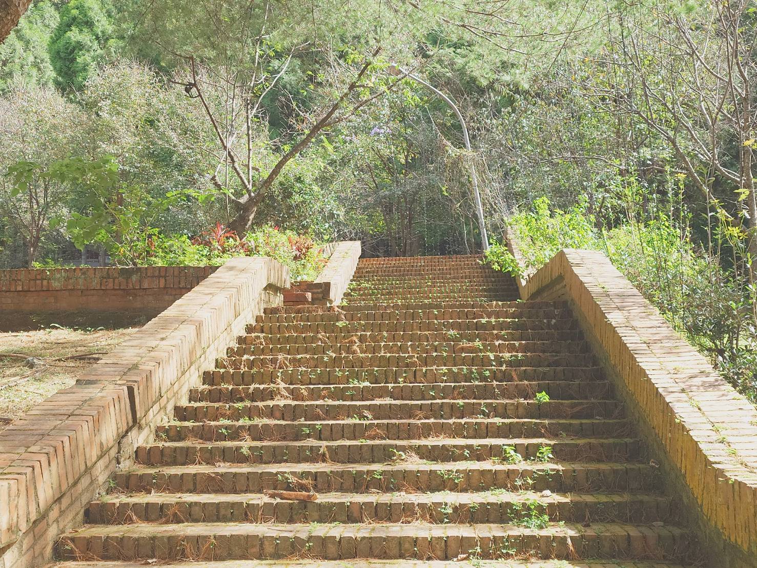 阿嬤讀空大 江戶城裡的異鄉人,刻劃幕末女人心 閱讀心得96分 - LUCAS阿嬤愛旅行