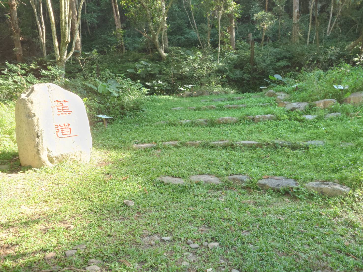 南投惠蓀林場｜台灣旅遊熱門景點一日遊,親子景點.團體旅遊,大口森呼吸 - LUCAS阿嬤愛旅行