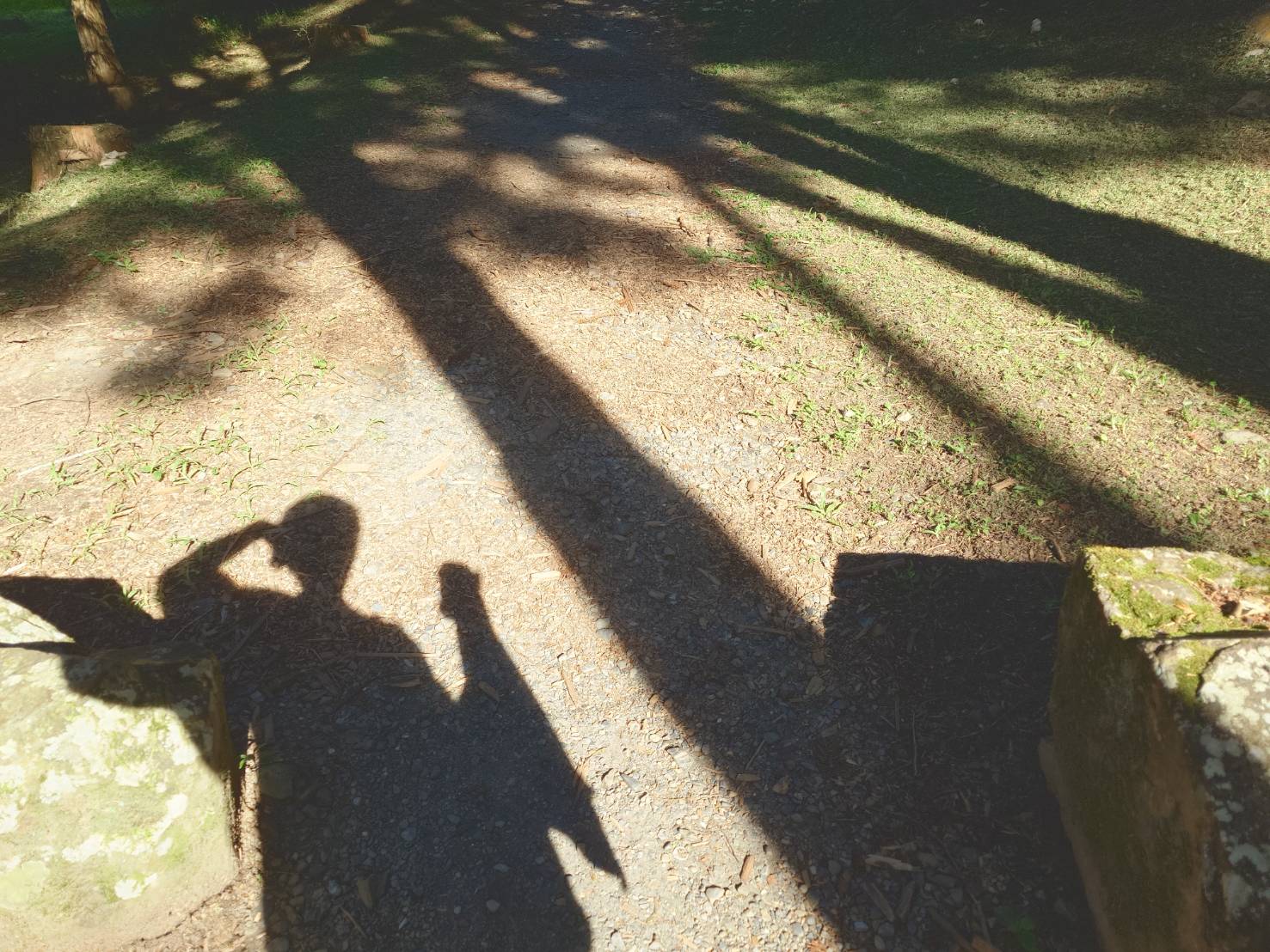 阿嬤讀空大 江戶城裡的異鄉人,刻劃幕末女人心 閱讀心得96分 - LUCAS阿嬤愛旅行