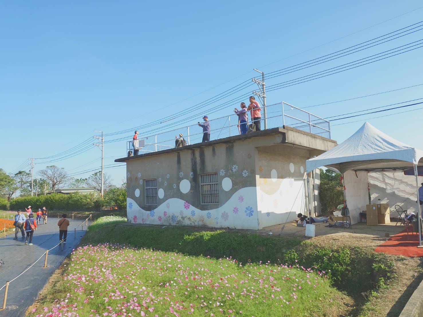 2024桃園楊梅仙草花節 東南旅遊每月8日會員日促銷 綠色休閒一日遊 - LUCAS阿嬤愛旅行