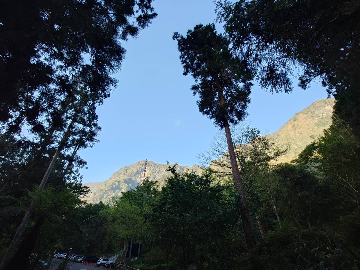 溪頭福華渡假飯店︱擁抱山林100%幸福感，人生紀念冊珍藏的回憶殺 - LUCAS阿嬤愛旅行