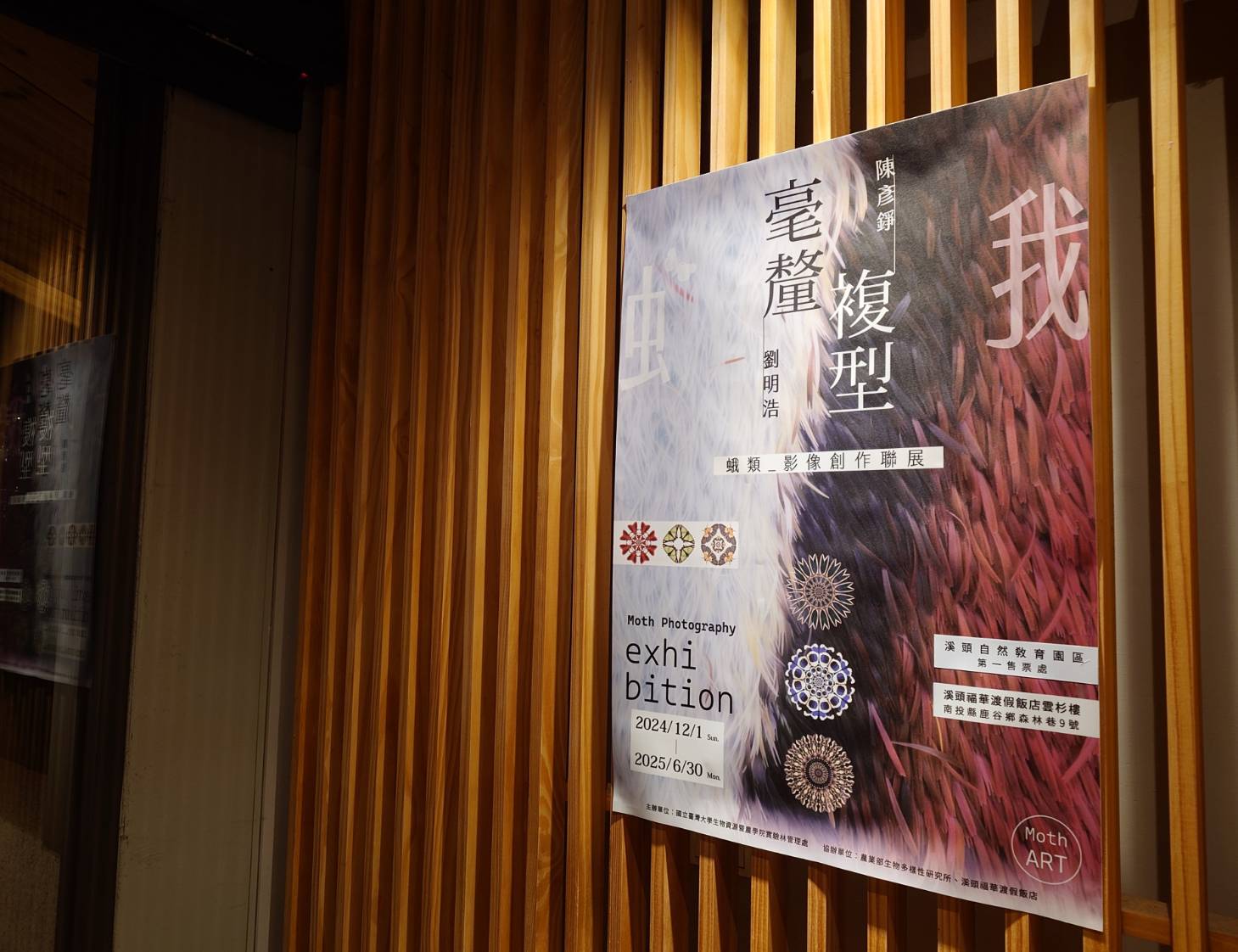 溪頭福華渡假飯店。旅人在2514公頃森林裡犯懶，十足渡假感星級旅宿 - LUCAS阿嬤愛旅行