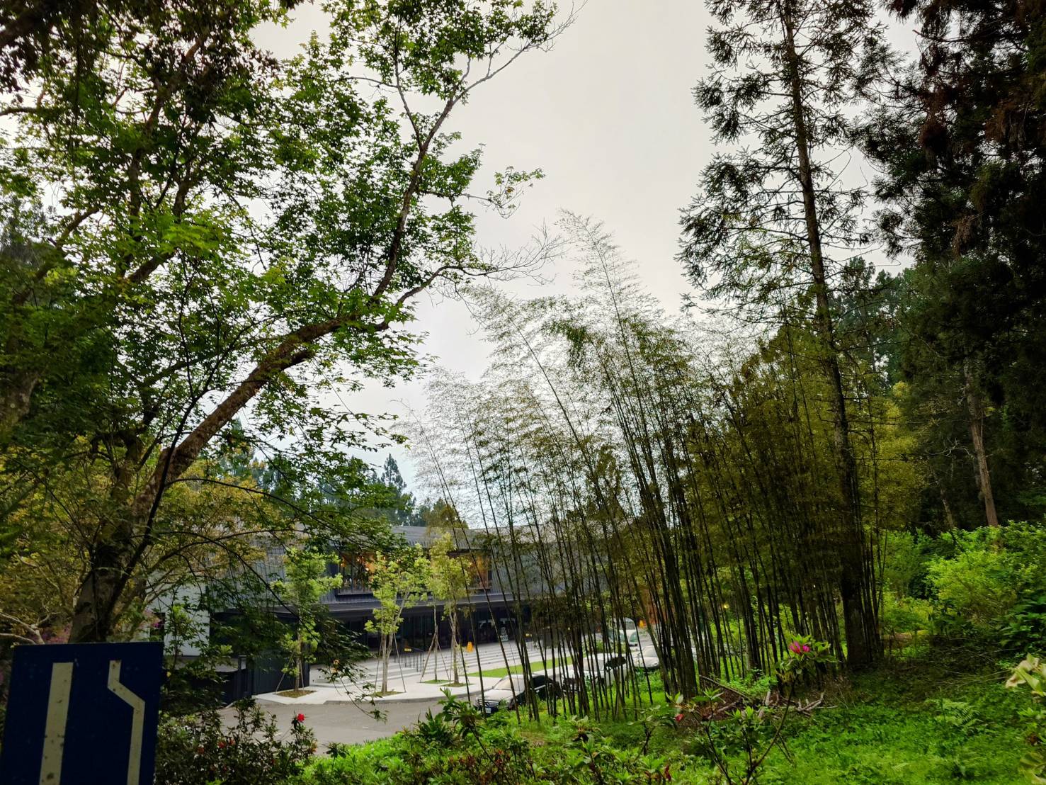 溪頭福華渡假飯店。旅人在2514公頃森林裡犯懶，十足渡假感星級旅宿 - LUCAS阿嬤愛旅行