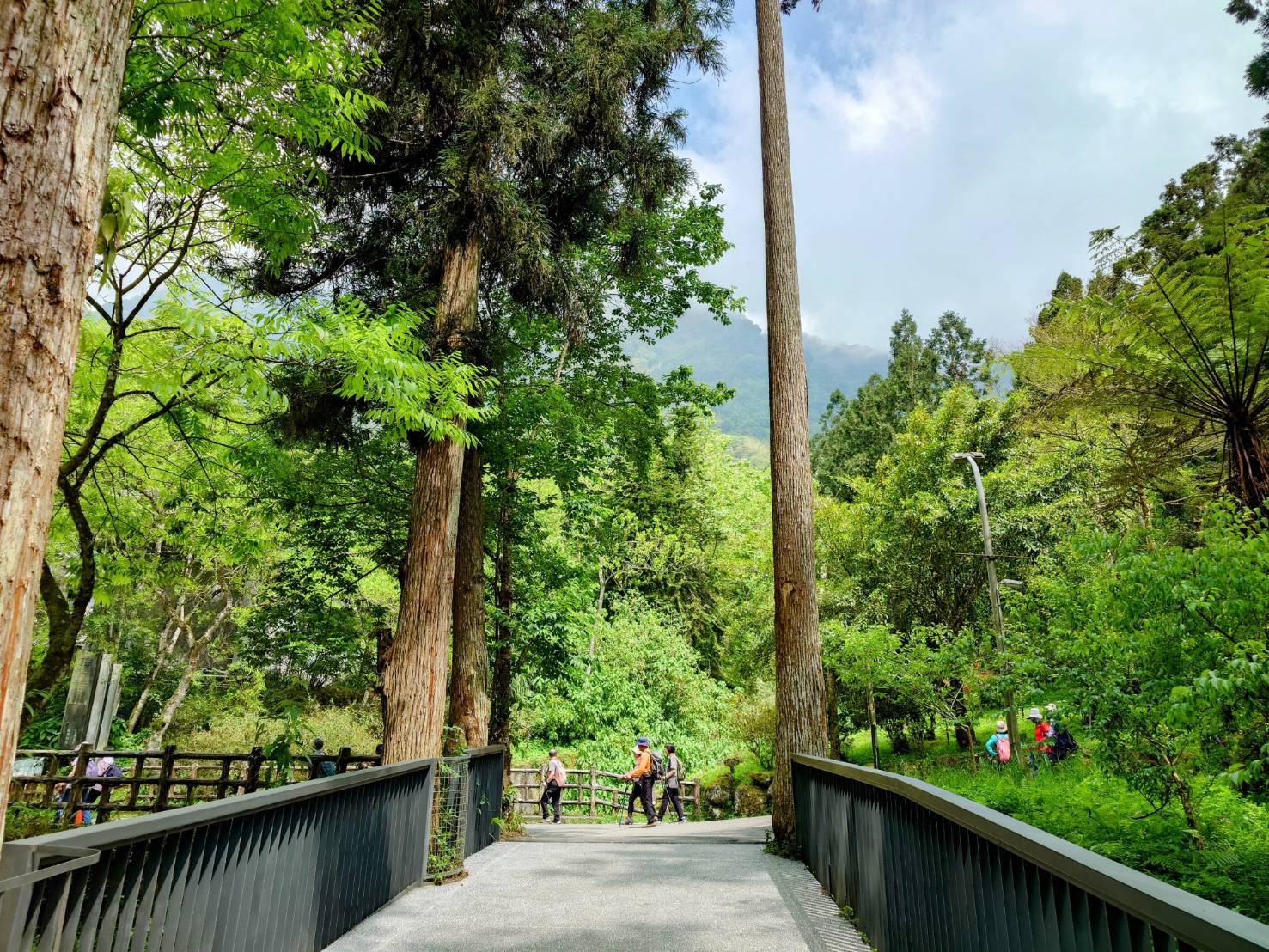 溪頭福華渡假飯店。旅人在2514公頃森林裡犯懶，十足渡假感星級旅宿 - LUCAS阿嬤愛旅行