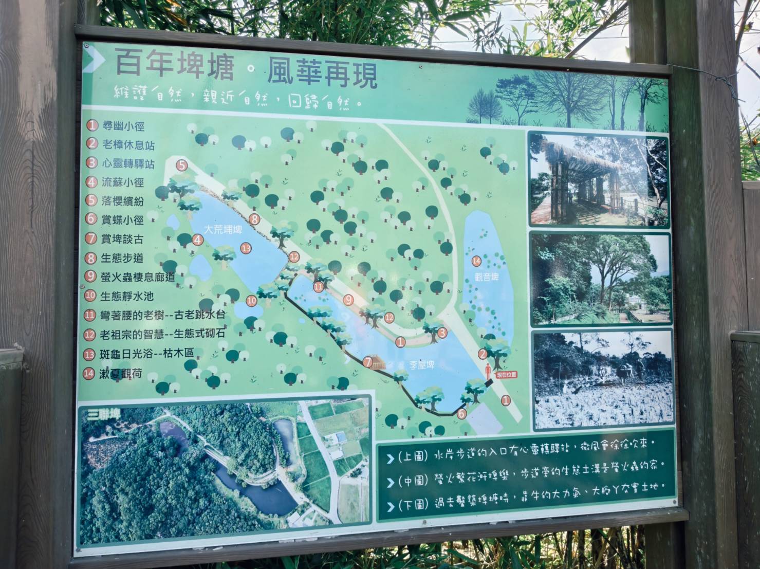 一日遊苗栗三灣/獅潭:落羽松.仙草花.新店老街.宮崎駿密道.客家美食 - LUCAS阿嬤愛旅行 一日遊苗栗三灣/獅潭:落羽松.仙草花.新店老街.宮崎駿密道.客家美食 - LUCAS阿嬤愛旅行