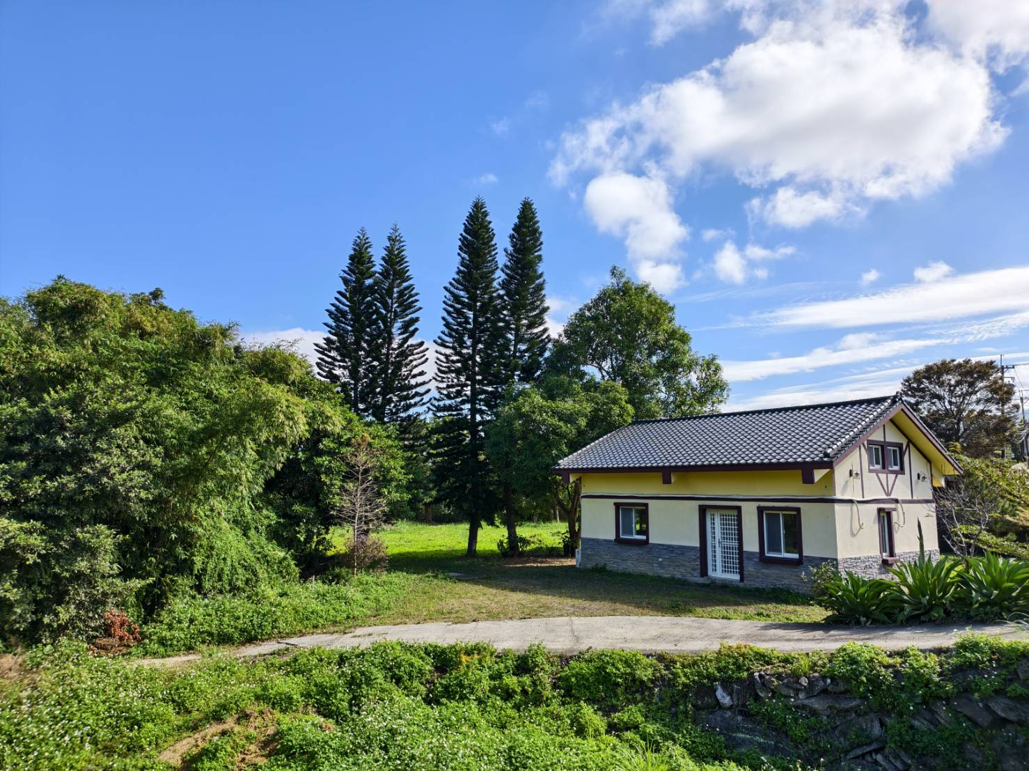 一日遊苗栗三灣/獅潭:落羽松.仙草花.新店老街.宮崎駿密道.客家美食 - LUCAS阿嬤愛旅行 一日遊苗栗三灣/獅潭:落羽松.仙草花.新店老街.宮崎駿密道.客家美食 - LUCAS阿嬤愛旅行