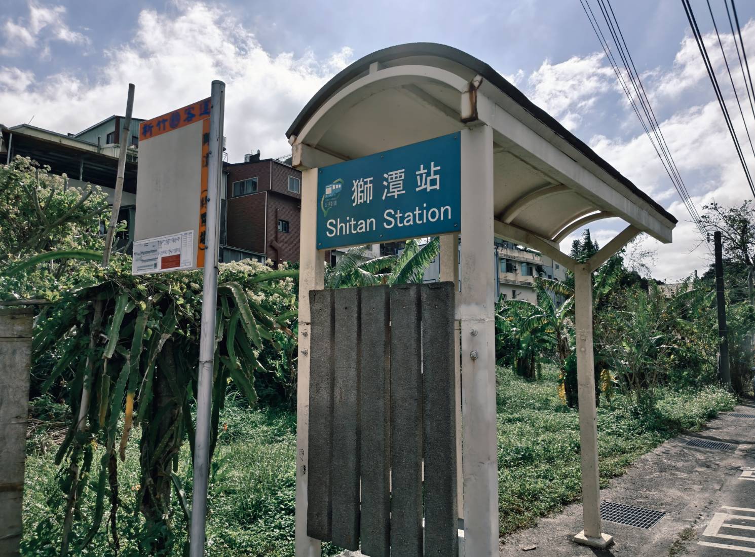 一日遊苗栗三灣/獅潭:落羽松.仙草花.新店老街.宮崎駿密道.客家美食 - LUCAS阿嬤愛旅行 一日遊苗栗三灣/獅潭:落羽松.仙草花.新店老街.宮崎駿密道.客家美食 - LUCAS阿嬤愛旅行