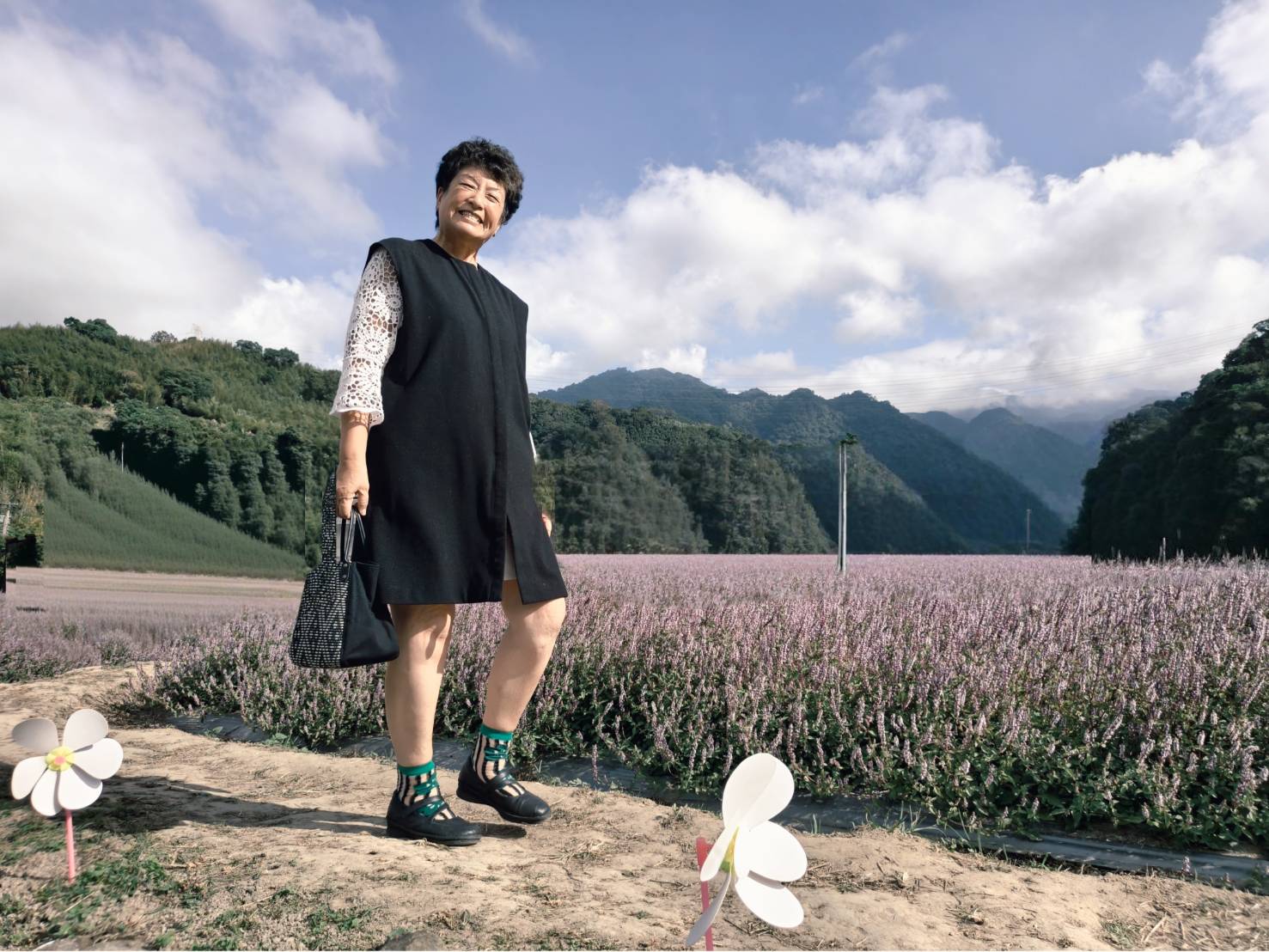 一日遊苗栗三灣/獅潭:落羽松.仙草花.新店老街.宮崎駿密道.客家美食 - LUCAS阿嬤愛旅行