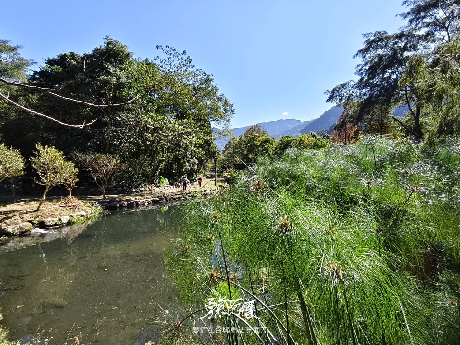 新竹內灣老街地標:劉興欽漫畫博物館回憶殺.親水公園落羽松散策，內行才會去！ - LUCAS阿嬤愛旅行