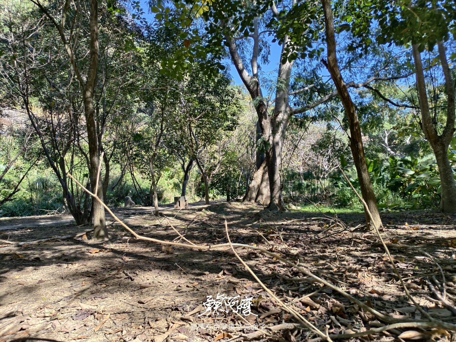 新竹內灣老街地標:劉興欽漫畫博物館回憶殺.親水公園落羽松散策，內行才會去！ - LUCAS阿嬤愛旅行