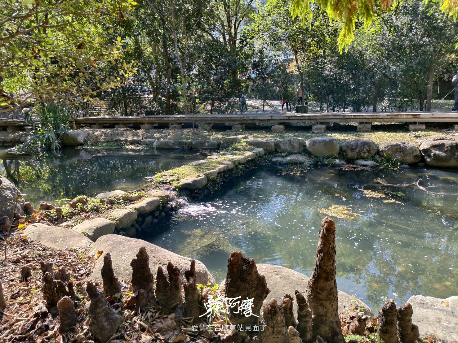新竹內灣老街地標:劉興欽漫畫博物館回憶殺.親水公園落羽松散策，內行才會去！ - LUCAS阿嬤愛旅行
