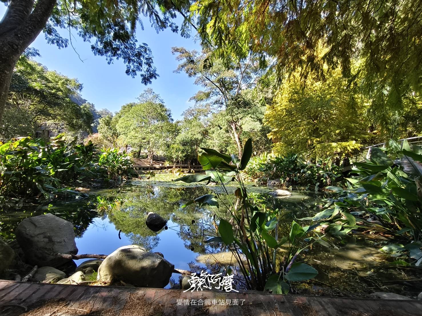 新竹內灣老街地標:劉興欽漫畫博物館回憶殺.親水公園落羽松散策，內行才會去！ - LUCAS阿嬤愛旅行