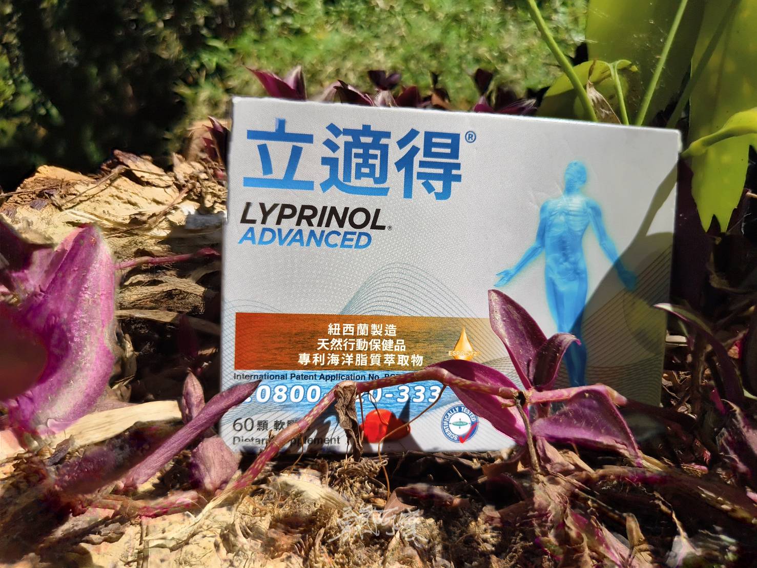 檳城景點︱升旗山一日遊懶人包.立適得陪伴旅人走出人生情緣 - LUCAS阿嬤愛旅行