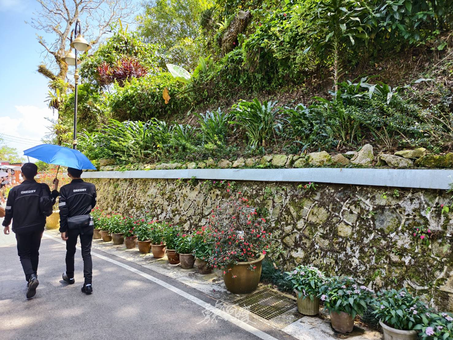 檳城景點︱升旗山一日遊懶人包.立適得陪伴旅人走出人生情緣 - LUCAS阿嬤愛旅行