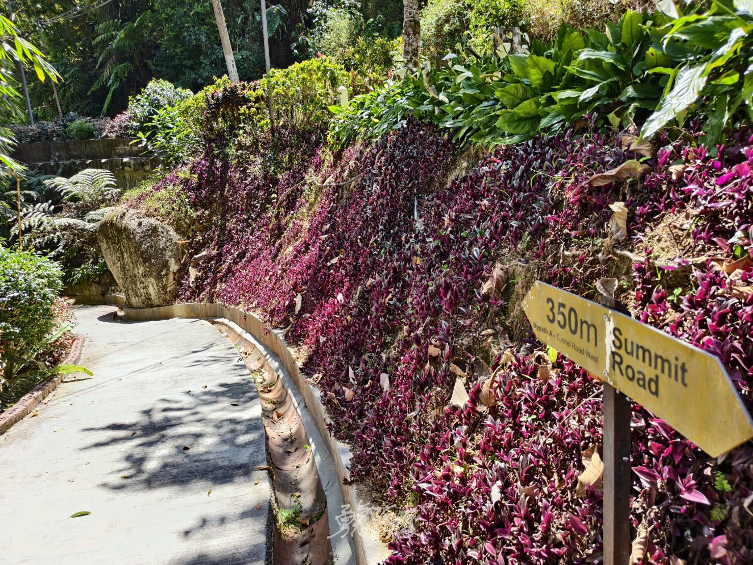 檳城景點︱升旗山一日遊懶人包.立適得陪伴旅人走出人生情緣 - LUCAS阿嬤愛旅行