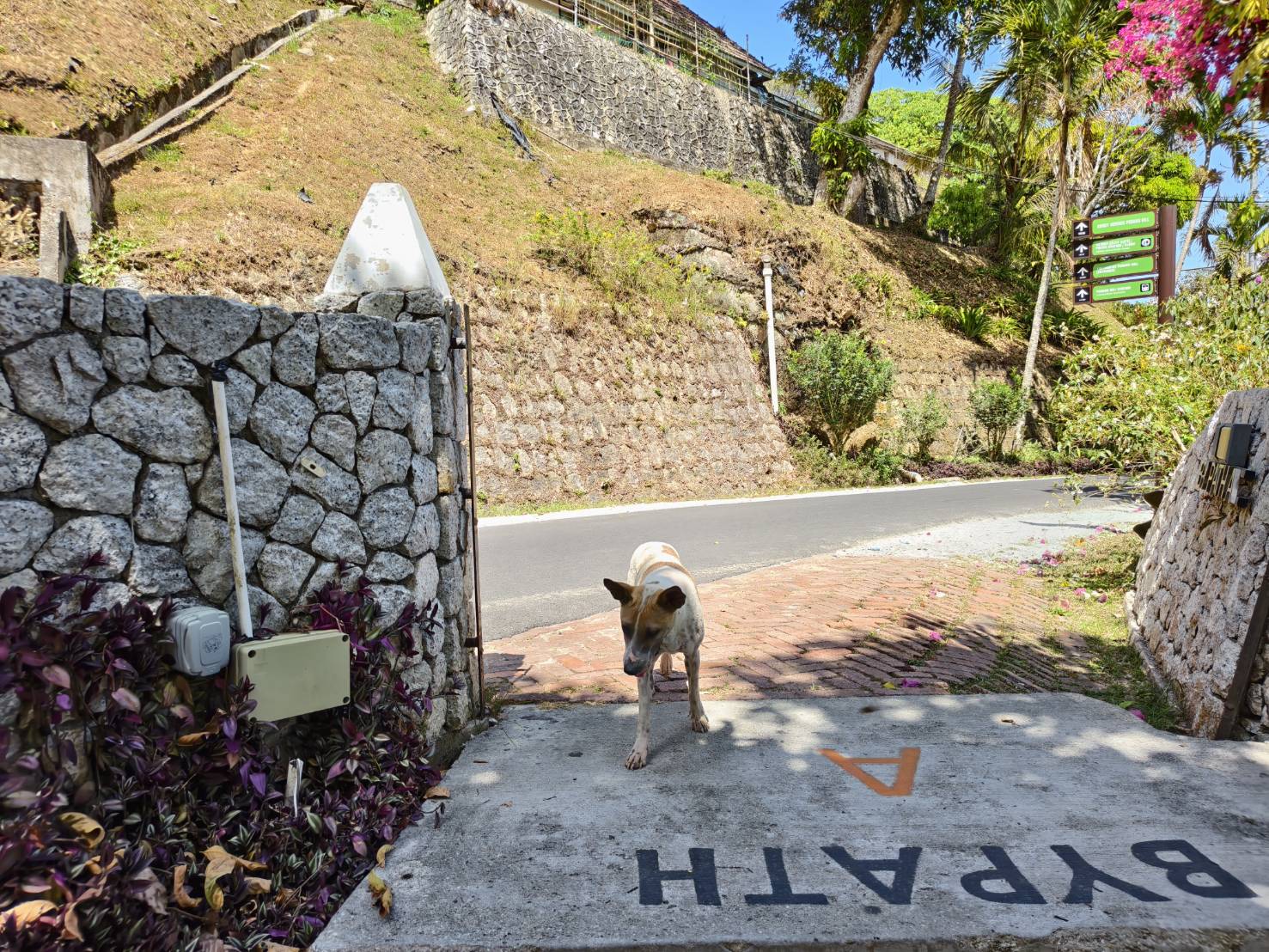 檳城景點︱升旗山一日遊懶人包.立適得陪伴旅人走出人生情緣 - LUCAS阿嬤愛旅行