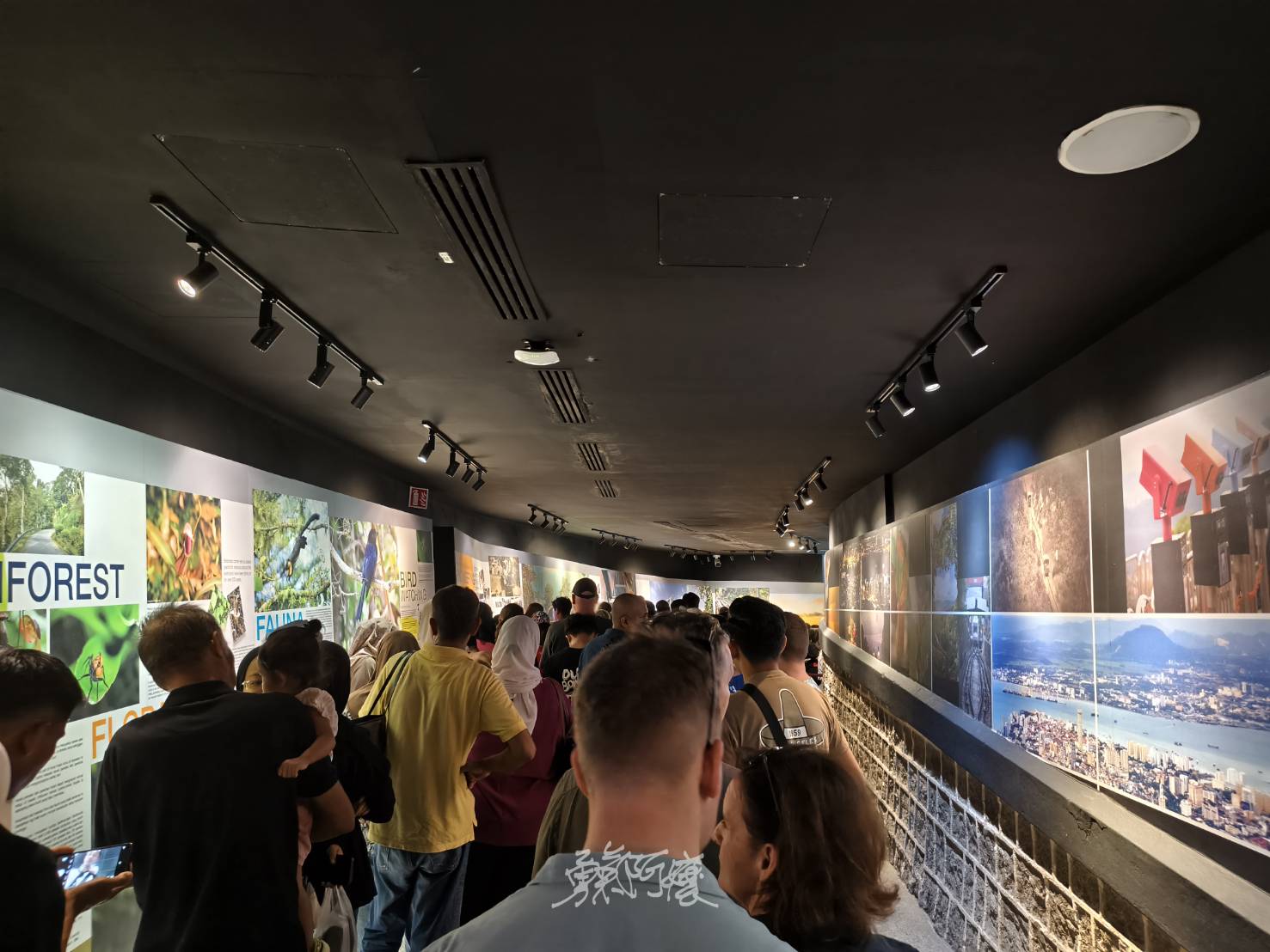 檳城景點︱升旗山一日遊懶人包.立適得陪伴旅人走出人生情緣 - LUCAS阿嬤愛旅行