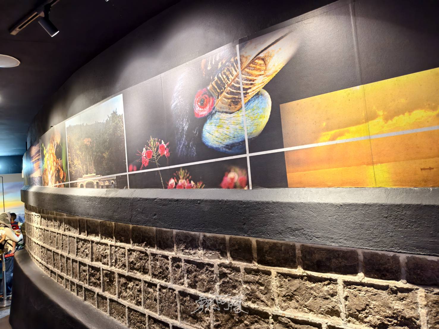 檳城景點︱升旗山一日遊懶人包.立適得陪伴旅人走出人生情緣 - LUCAS阿嬤愛旅行